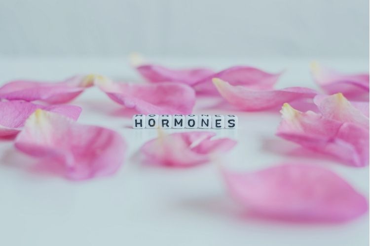 Welke hormoonwaarden moet ik laten testen? De complete gids